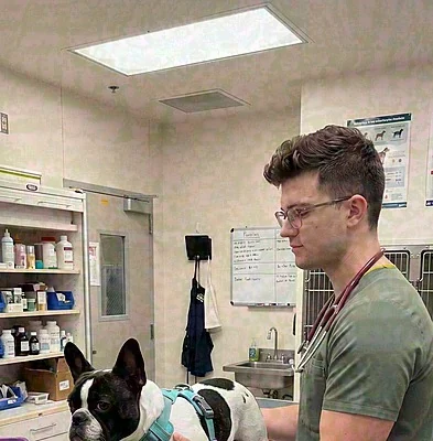 Vet consultant